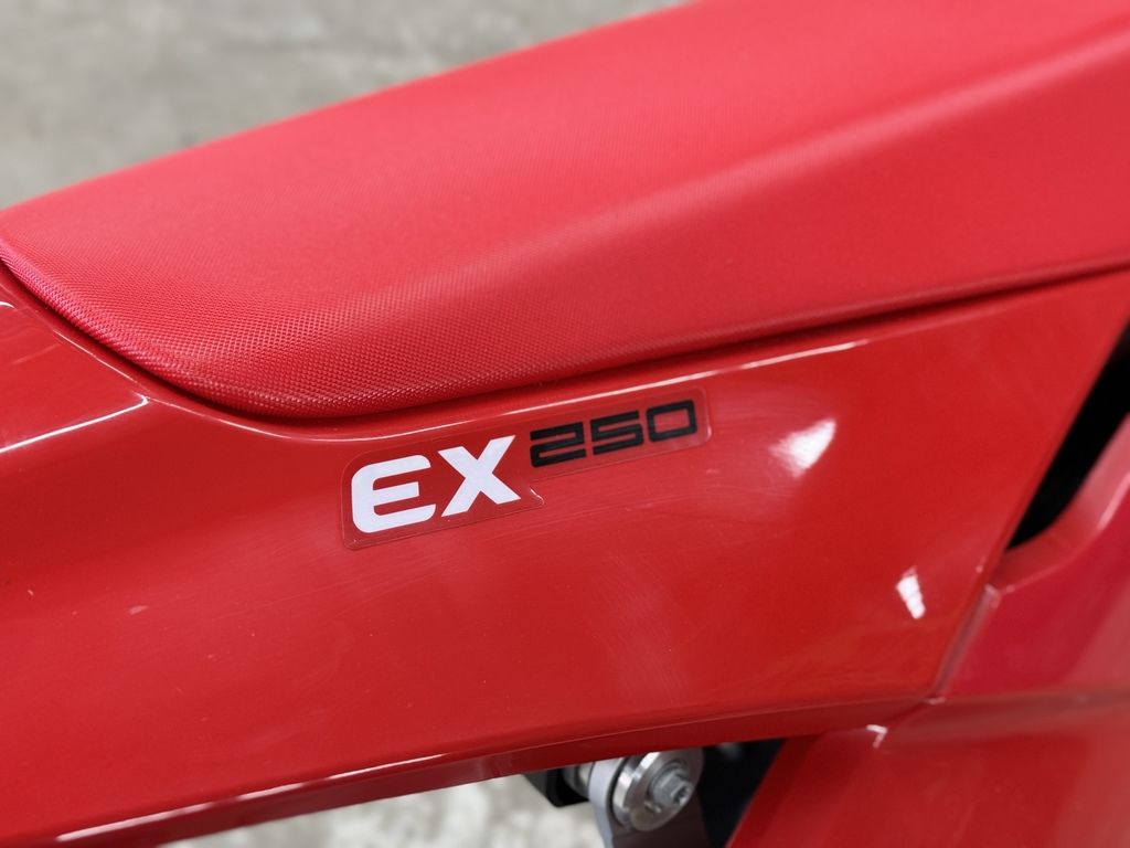 New 2024 GASGAS EX 250