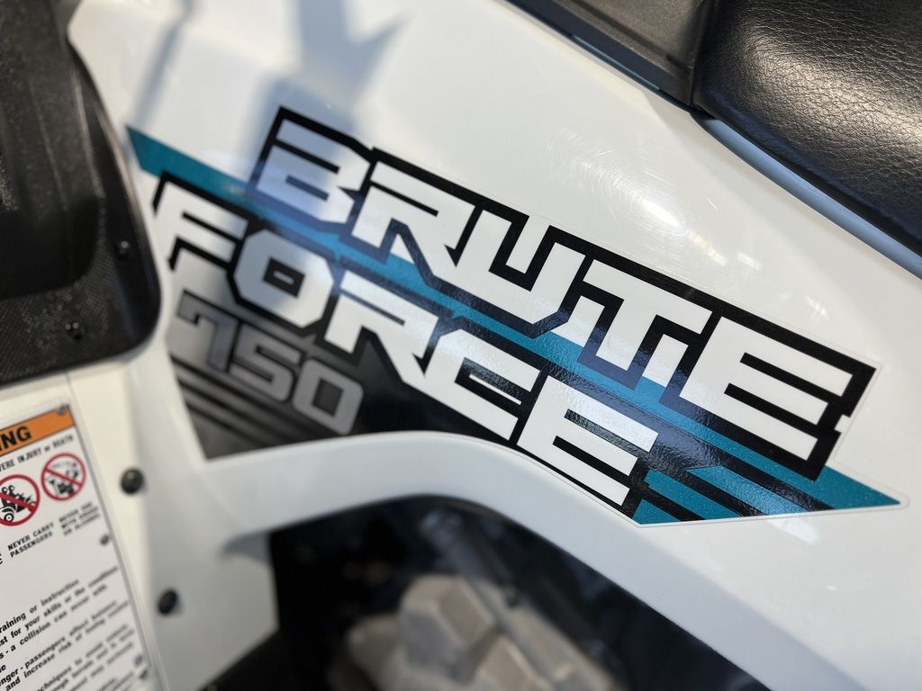 New 2023 Kawasaki Brute Force® 750 4x4i EPS